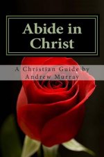 Abide in Christ: A Christian's Guide