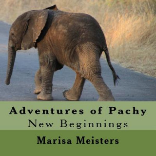 Adventures of Pachy: New Beginnings