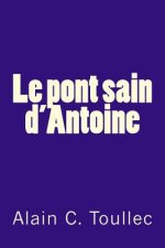 Le pont sain d'Antoine