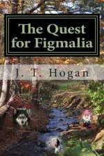 The Quest for Figmalia: The Quest for Figmalia: The Child of Harmony Book 1