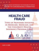 Health Care Fraud: Types of Providers Involved in Medicare, Medicaid, and the Children's Health Insurance Program Cases