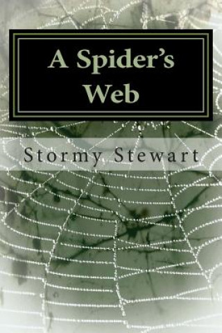 A Spider's Web: Revised