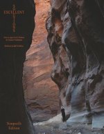 Excellent Solutions: Nonprofit Edition: How to Apply God's Wisdom for Greater Fruitfulness