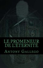 Le promeneur de l'éternité: Trame I
