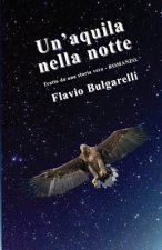 Un'aquila nella notte
