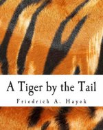 A Tiger by the Tail (Large Print Edition): 40-Years' Running Commentary on Keynesianism