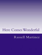 Here Comes Wonderful