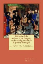 Historia de la influencia de Borgo?a en la configuración de Espa?a y Portugal: Legado de un estado fallido a los emergentes
