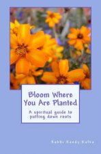 Bloom Where You Are Planted: A spiritual guide to putting down roots