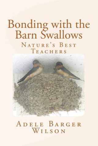 Bonding with the Barn Swallows: Nature's Best Teachers