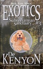 Exotics #3: The Subterranean Sanctuary