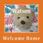 Watson: Welcome Home