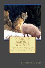 A Sheep Among Wolves: One Man's Stubborn Commitment To The Idea That GOD IS LOVE
