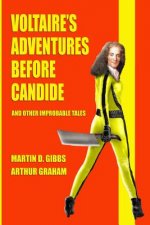 Voltaire's Adventures Before Candide: And Other Improbable Tales