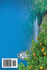 Rosh Hashana l'Elanot - New Year of the Trees - Tu B'Shvat