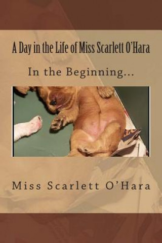 A Day in the Life of Miss Scarlett O'Hara: In the Beginning