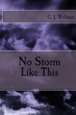 No Storm Like This