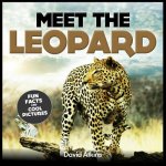 Meet The Leopard: Fun Facts & Cool Pictures