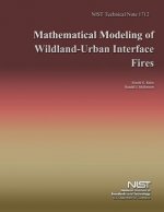 Mathematical Modeling of Wildland-Urban Interface Fires