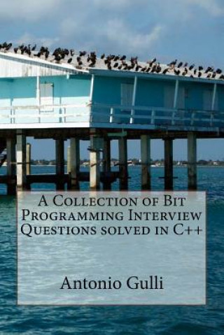 A Collection of Bit Programming Interview Questions solved in C++