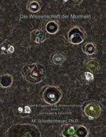 Die Wissenschaft der Murmeln: Daten & Diagramme für Wissenschaft Labor: Band 2