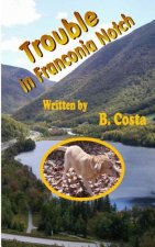 Trouble in Franconia Notch
