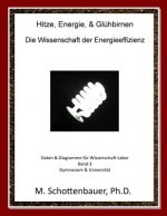 Hitze, Energie, & Glühbirnen: Die Wissenschaft der Energieeffizienz: Daten & Diagramme für Wissenschaft Labor: Band 3