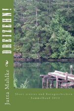 Dreizehn!: Short stories und Kurzgeschichten - Sammelband 2013