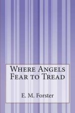 Where Angels Fear to Tread