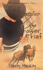 Sock Poacher & the Shower Thief: Tall Tales of Hooper's Town 1