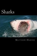 Sharks: A Fascinating Book Containing Shark Facts, Trivia, Images & Memory Recall Quiz: Suitable for Adults & Children