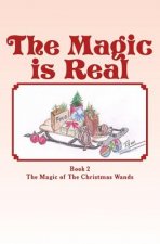 The Magic is Real: The Magic of The Christmas Wands