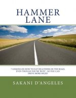 Hammer Lane: 7 Lessons on How to Eat Healthier On the Road