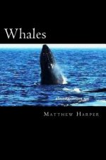 Whales: A Fascinating Book Containing Whale Facts, Trivia, Images & Memory Recall Quiz: Suitable for Adults & Children