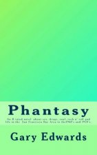 Phantasy: An R rated novel about sex, drugs, soul and rock n' roll and life in the San Francisco Bay area in the 1960's and 1970
