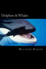 Dolphins & Whales: A Fascinating Book Containing Dolphin & Whale Facts, Trivia, Images & Memory Recall Quiz: Suitable for Adults & Childr