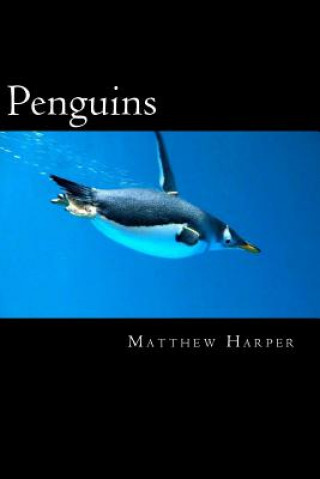 Penguins: A Fascinating Book Containing Penguin Facts, Trivia, Images (In Color) & Memory Recall Quiz: Suitable for Adults & Chi