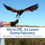 We're Off...to Learn Some Falconry: Nos Vamos...a Aprender Algo Sobre la Certeria