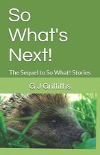 So What's Next!: The Sequel to So What! Stories