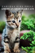 American Shorthair Cat - Curious Kids Press: Kids book about animals and wildlife, Children's books 4-6