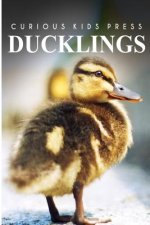 Ducklings - Curious Kids Press: Kids book about animals and wildlife, Children's books 4-6
