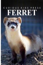 Ferret - Curious Kids Press: Kids book about animals and wildlife, Children's books 4-6