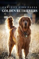 Golden Retrievers - Curious Kids Press: Kids book about animals and wildlife, Children's books 4-6