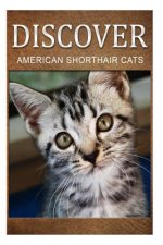 American Shorthair Cats - Discover: Early reader's wildlife photography book