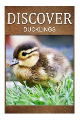 Ducklings - Discover: Early reader's wildlife photography book