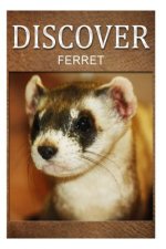 Ferret - Discover: Early reader's wildlife photography book