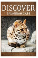 Savannah Cats - Discover: Early reader's wildlife photography book