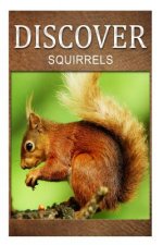 Squirrel - Discover: Early reader's wildlife photography book