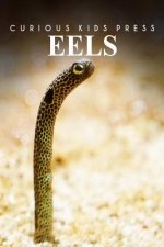Eels - Curious Kids Press: Kids book about animals and wildlife, Children's books 4-6