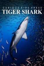 Tiger Shark - Curious Kids Press: Kids book about animals and wildlife, Children's books 4-6